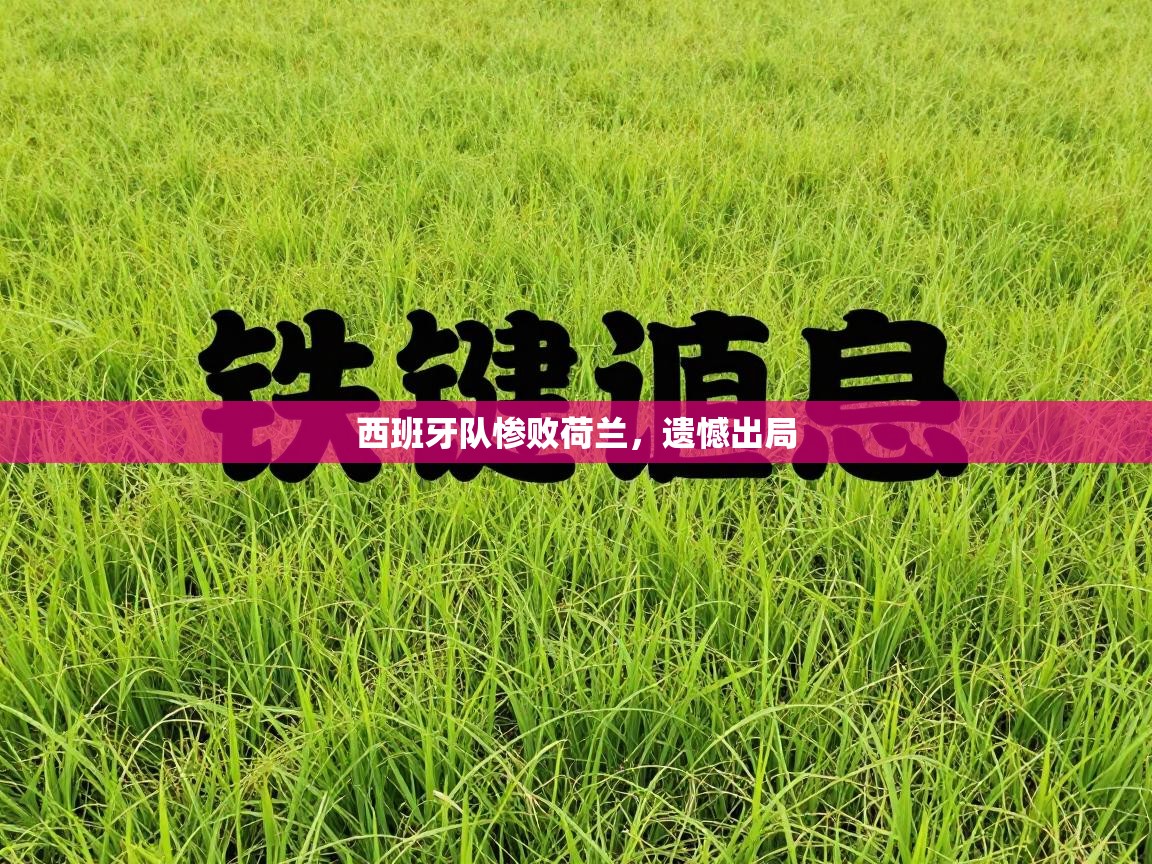 西班牙队惨败荷兰，遗憾出局