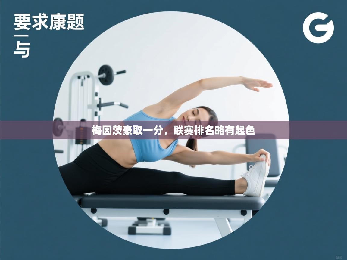 梅因茨豪取一分，联赛排名略有起色  第2张