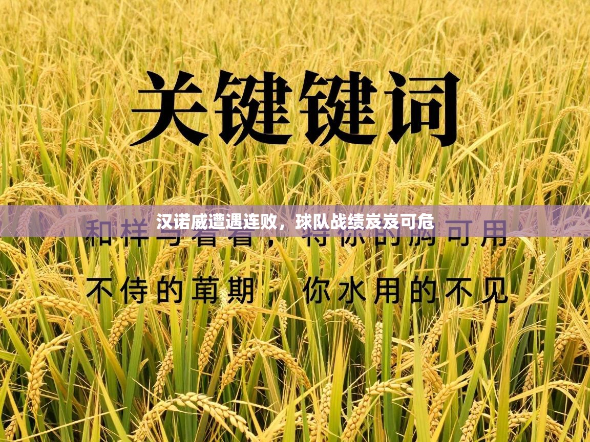 汉诺威遭遇连败，球队战绩岌岌可危  第2张